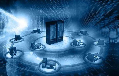 择业新风向 互联网信息服务，男女皆宜的优质选择